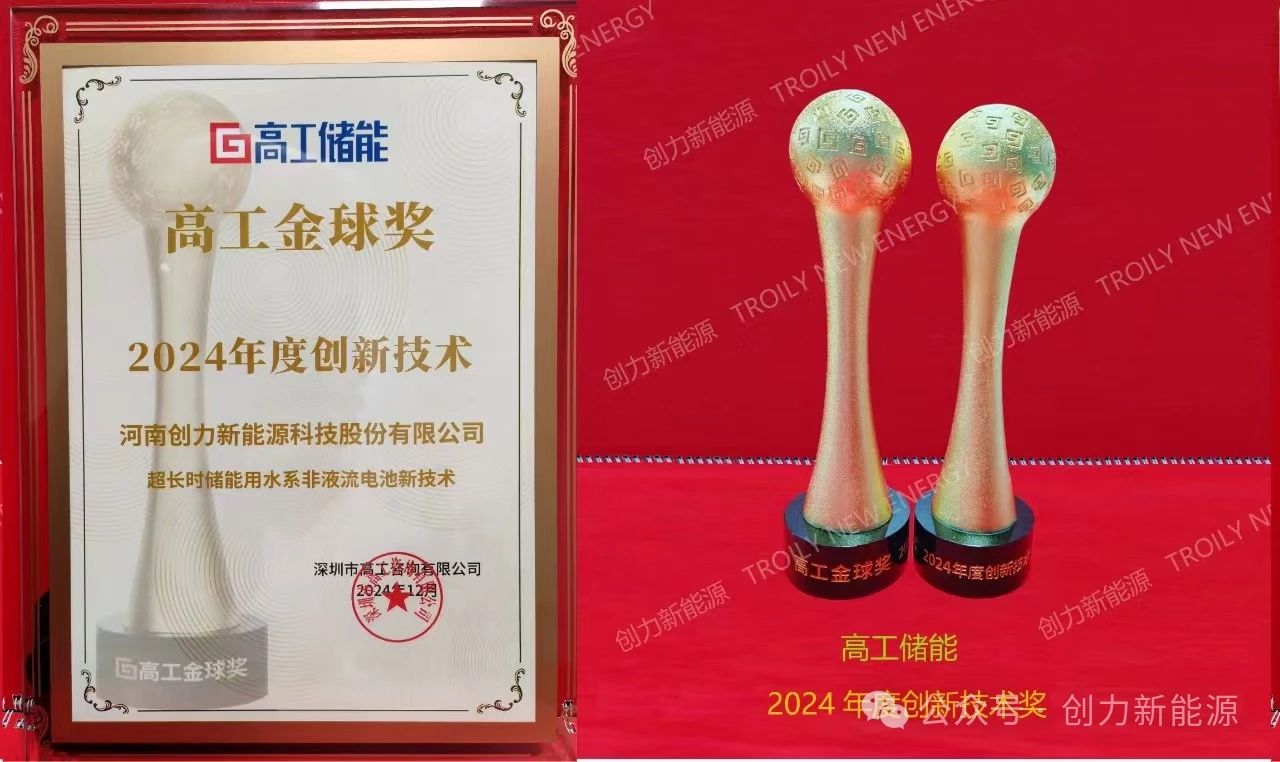創(chuàng)力新能源高工會(huì)議 (4)